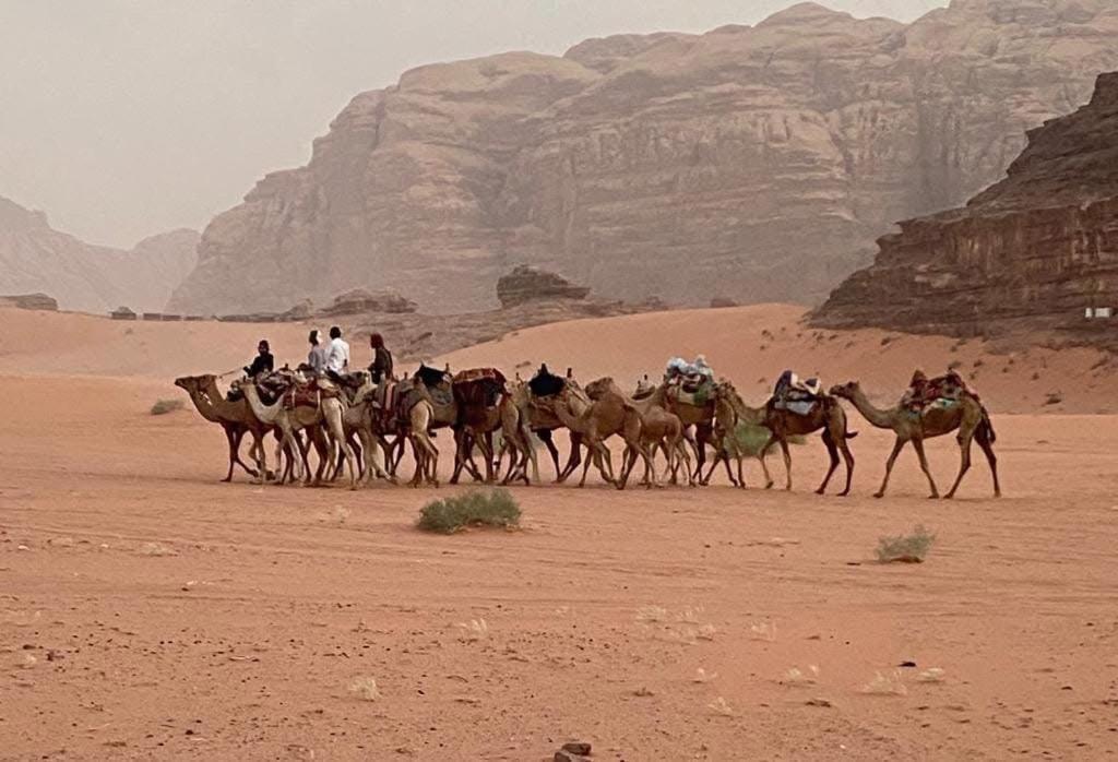 Wadi Rum Trail Экстерьер фото